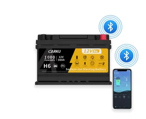 CBN1230 H6 Starting Battery
