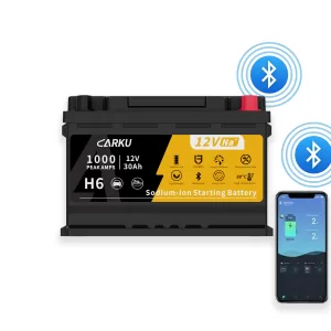CBN1230 H6 Starting Battery