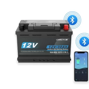 CBN1230E-H6 Starting Battery