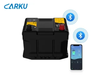 CBN1230 sodium-ion starting battery