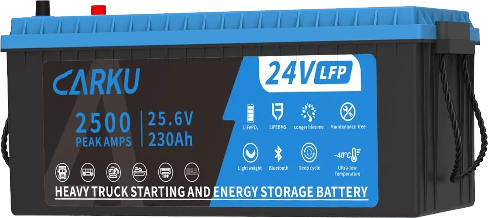 CBL24230-2-LiFePO4-Battery