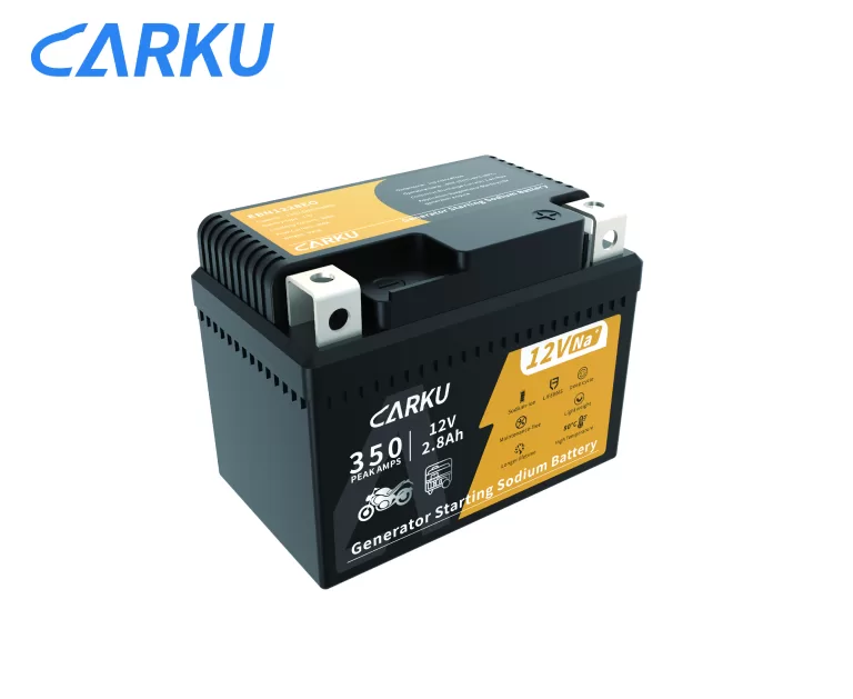 Generator-starting-sodium-battery-EBN1228EO